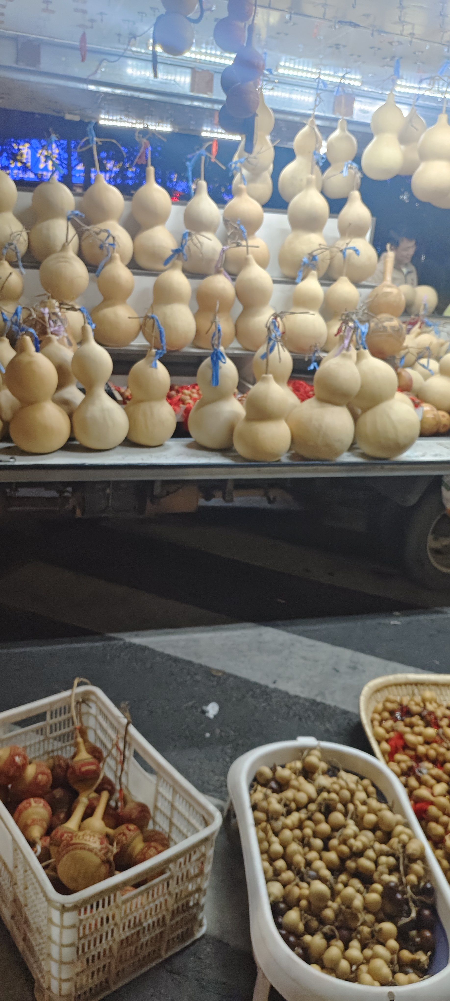 谁见过这么大的葫芦