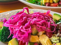 -四葉寿司(免税二期店)