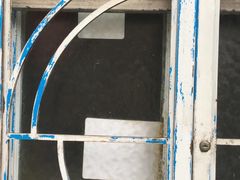 -洋洋锅贴