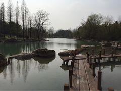 金鸡湖大酒店-苏州金鸡湖大酒店