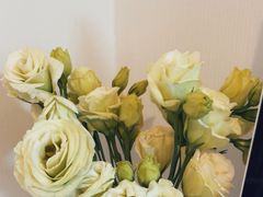 -循礼门鲜花花市(武汉循礼门店)