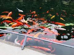 -仙海旅游度假区