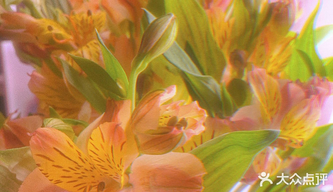 #治愈系.花#