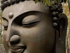 -杭州植物园