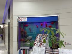 -雅悦齿科(顾村公园店)