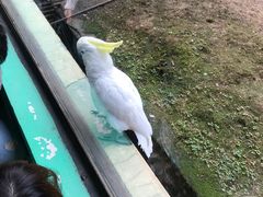 -杭州野生动物世界