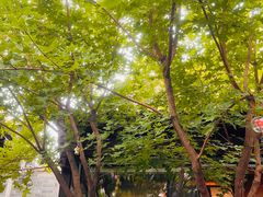 -VOYAGE COFFEE(杨梅竹店)