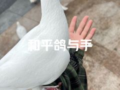 -成都欢乐谷