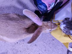 -正佳雨林生态植物园