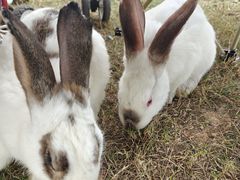 -珠海海泉湾神秘岛亲子乐园