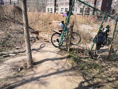 -天津东丽湖风景区