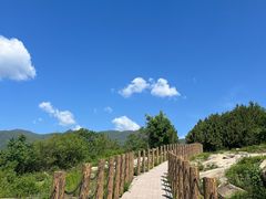 -白水寺森林公园