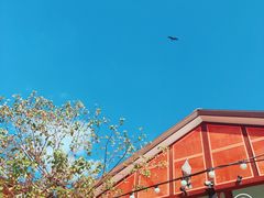 -海鮮市場長崎港(出島ワーフ店)