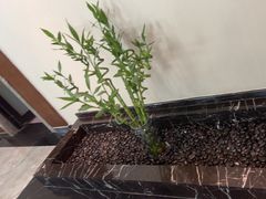 -大和洗浴休闲会所(宏大广场店)