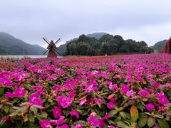 -广州市石门国家森林公园
