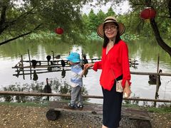 -长兴太湖图影湿地文化园
