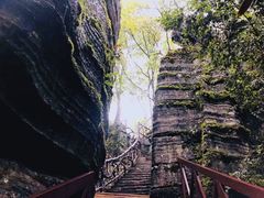 -梭布垭石林景区