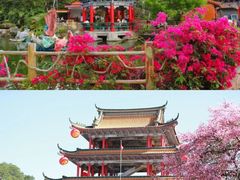 -东莞观音山旅游风景区