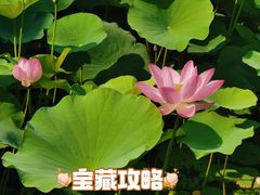-石湖景区