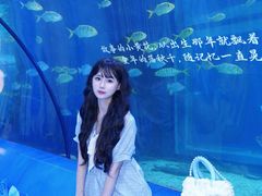 -重庆欢乐海底世界