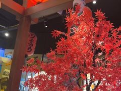 -白石的深夜食堂(济南万象城店)