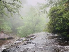 -龙苍沟森林公园
