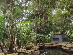 -南山植物园