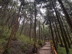 -天姥山景区