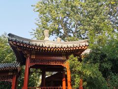 -钓鱼台国宾馆