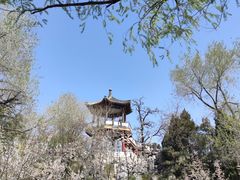 -莲花池公园