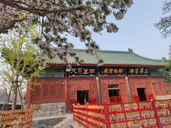 -天津大悲禅院