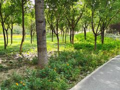 -东郊湿地公园