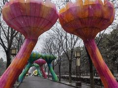 -洛阳市隋唐城遗址植物园
