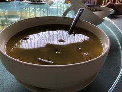 -西双版纳原始森林公园
