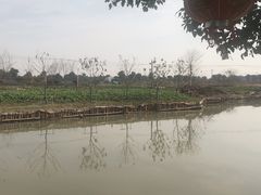 -乡乐园蟹庄·阳澄湖农家乐