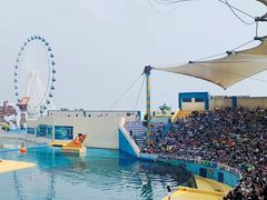 -秦皇岛乐岛海洋王国