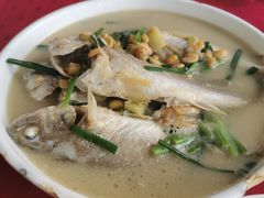 黄豆酱闷滑鱼-蛇口康乐快餐鱼仔档(翠苑小区店)