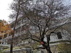 -广东温泉宾馆