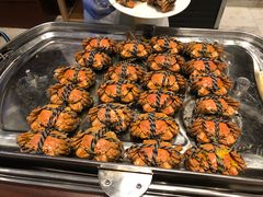 -新发展亚太JW万豪酒店·福苑咖啡厅
