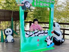 -苏州太湖国家湿地公园