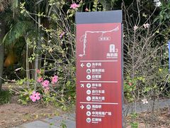 -深圳湾公园(南山区)