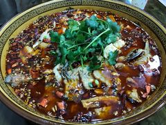 特色肥肠鱼-燕兵眉州肥肠鱼饭店