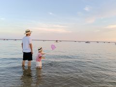 -碧海金沙