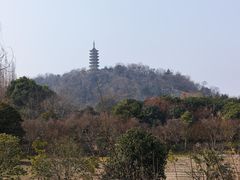 -焦山风景区