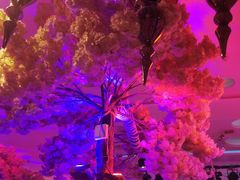 -巴特餐饮6加1音乐餐吧·新疆菜