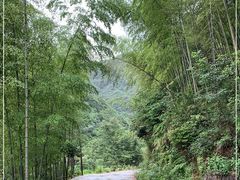 -白云源风景区