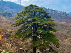 -黄山风景区