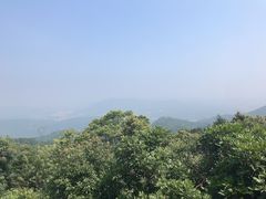 -广州市帽峰山景区