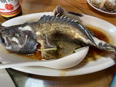 -蓝湾碧波·老字号·疍家非遗海上餐厅