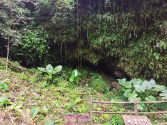 -海口火山口国家地质公园